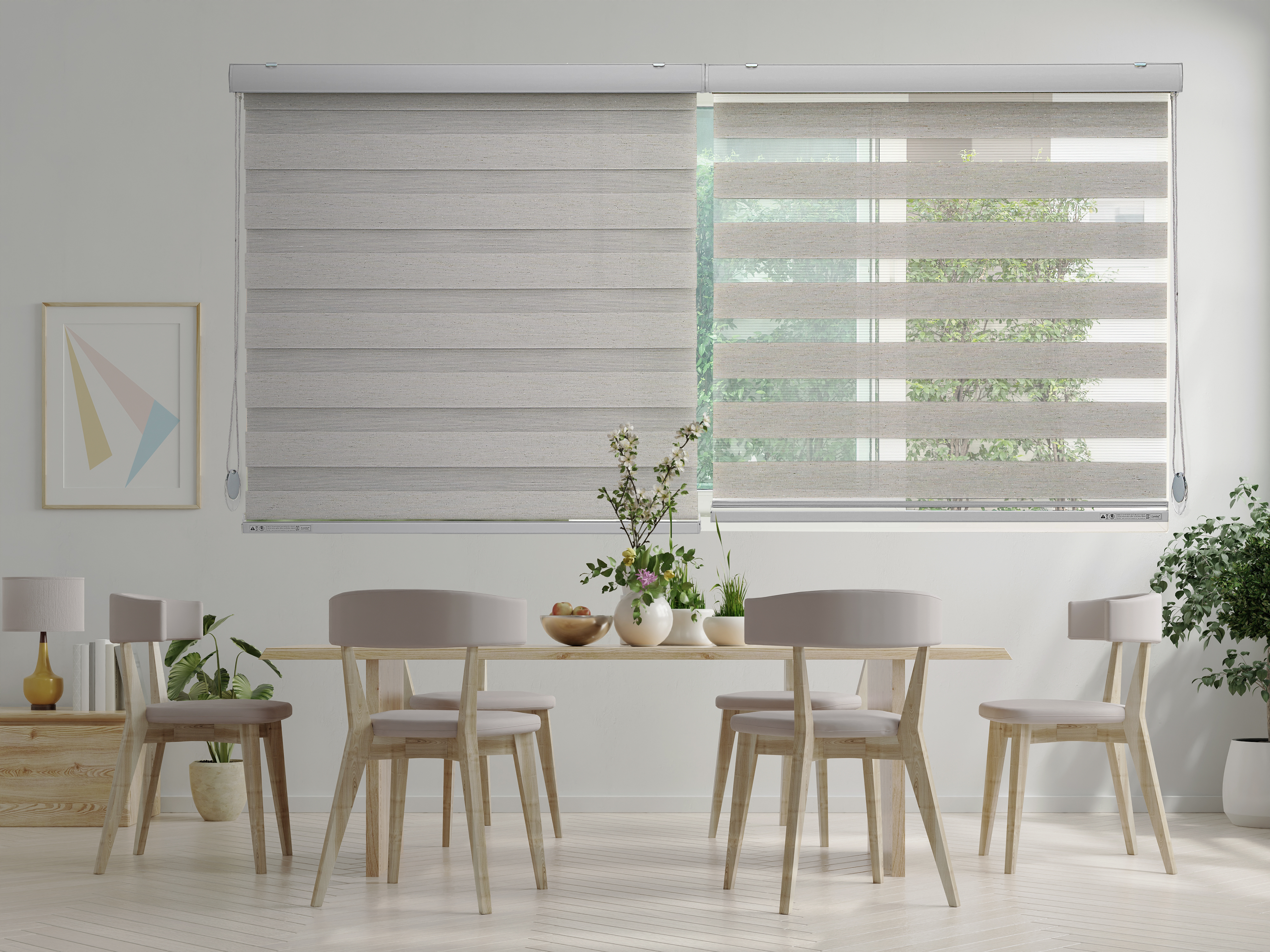 Zebra Blinds